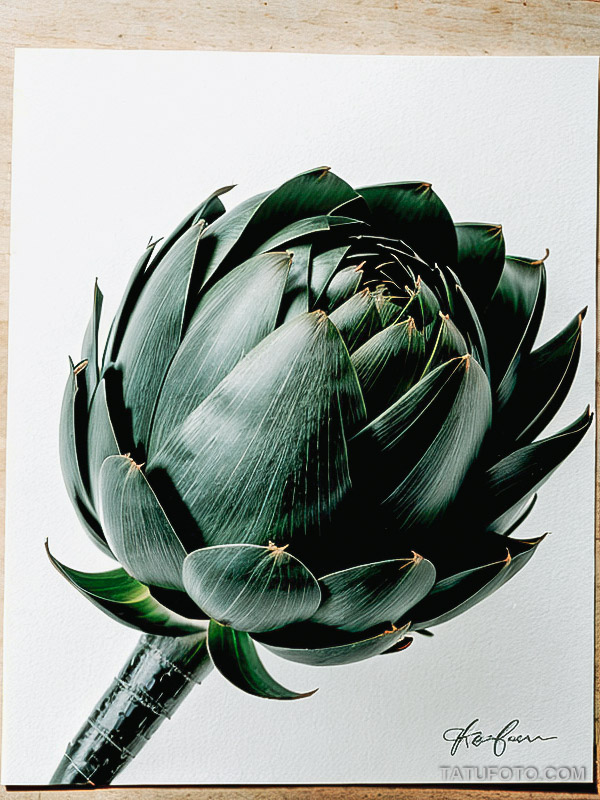Кулинарные тату шеф-поваров - Simple black ink drawing of an artichoke, tatufoto.com 138