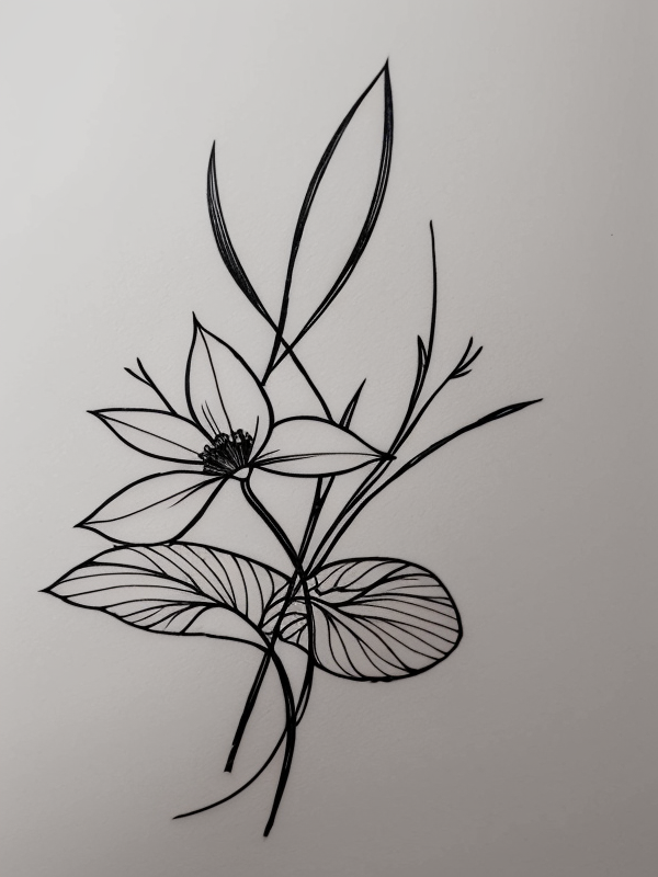 Эскизы татуировки Астра - Astra Tattoo Sketches redraw tattoo sketches on a white sheet into a modern minimalist aster tattoo sketch, using only black ink with simple lines, sh tatufoto.com 093