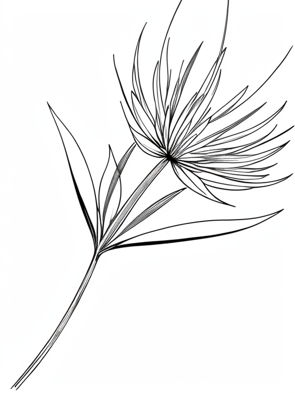 Эскизы татуировки Астра - Astra Tattoo Sketches redraw tattoo sketches on a white sheet into a modern minimalist aster tattoo sketch, using only black ink with simple lines, sh tatufoto.com 288