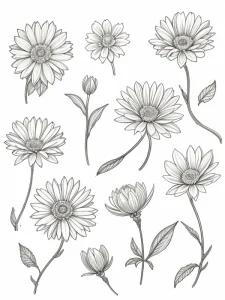 Фото эскиза татуировки с изображением ромашек и бутонов, выполненного в технике графики. Детализированная проработка лепестков и листьев.