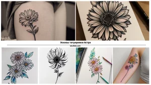Коллаж из фотографий и эскизов татуировок с изображением астр. Различные стили и техники исполнения.