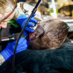 Mondial du Tatouage 2025 в Париже - tatufoto-6
