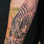 Значение татуировки зебра - пример тату зебра на фото - 15 - фото tatufoto.com