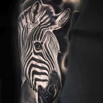 Значение татуировки зебра - пример тату зебра на фото - 25 - фото tatufoto.com