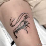 Татуировка с креветкой ко Дню креветок – 10 мая №15 - фото tatufoto.com