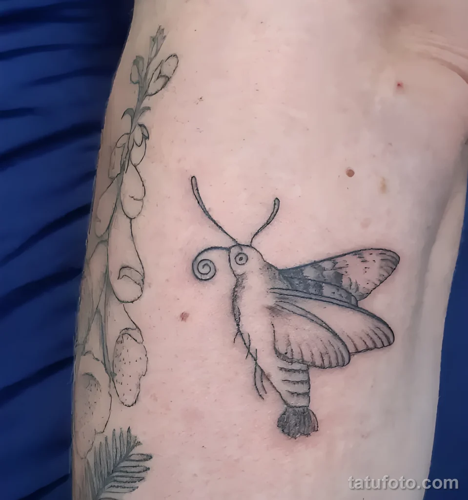Значение тату бражник - пример рисунка тату №05 - tatufoto.com