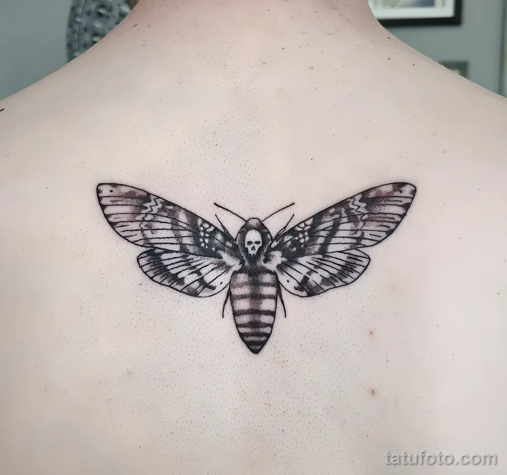 Значение тату бражник - пример рисунка тату №15 - tatufoto.com