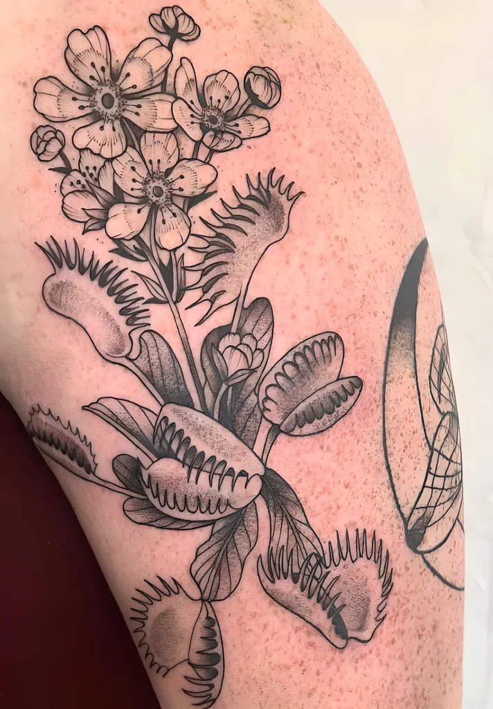 тату-венерина-мухоловка-пример-рисунка-тату-для-tatufoto-com-10