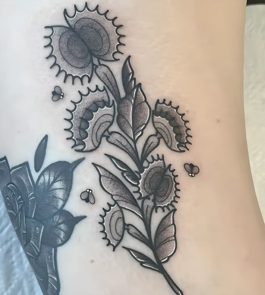 тату-венерина-мухоловка-пример-рисунка-тату-для-tatufoto-com-13