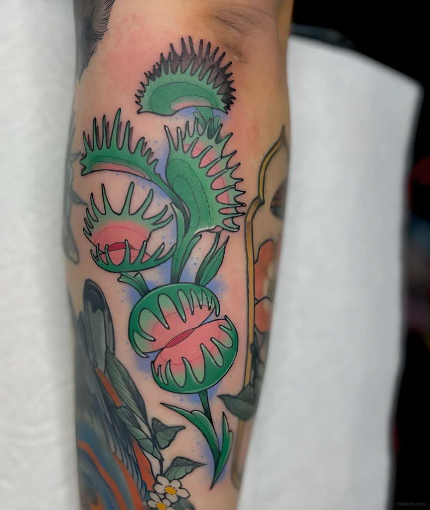 тату-венерина-мухоловка-пример-рисунка-тату-для-tatufoto-com-15