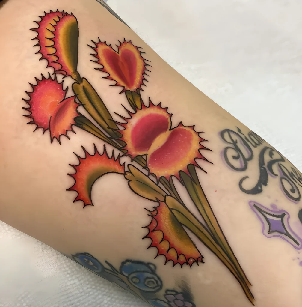тату-венерина-мухоловка-пример-рисунка-тату-для-tatufoto-com-38