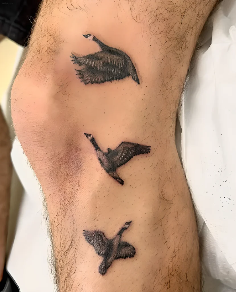 тату-гусь-пример-рисунка-тату-для-tatufoto-com-34