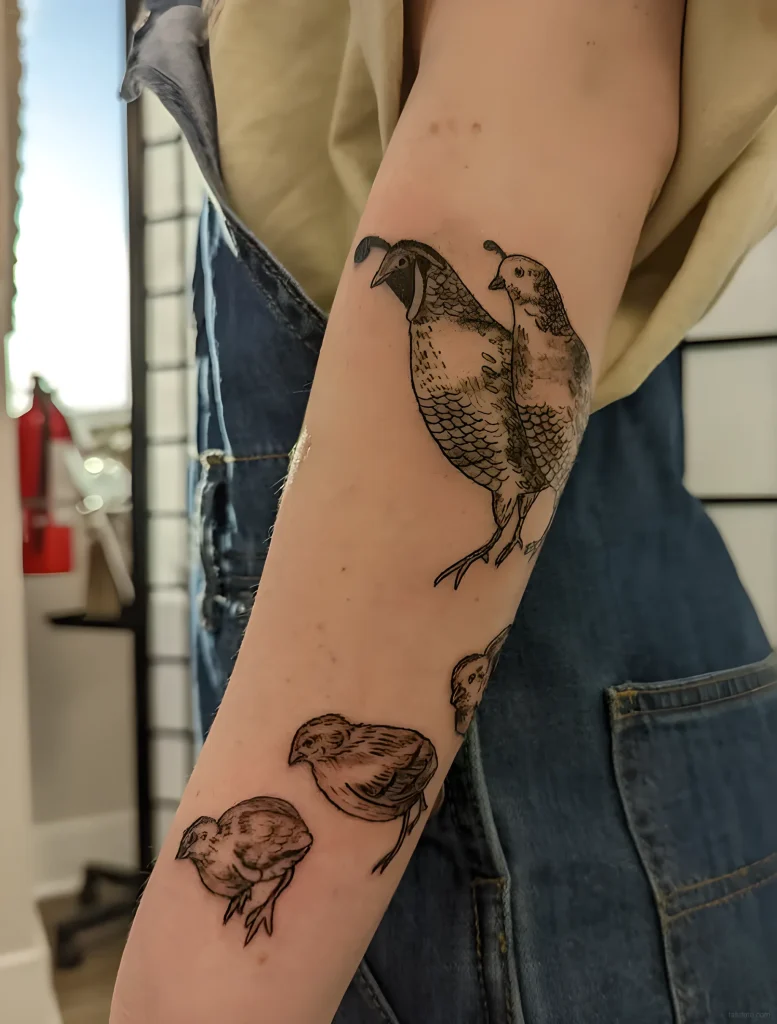 тату-перепел-пример-рисунка-тату-для-tatufoto-com-20