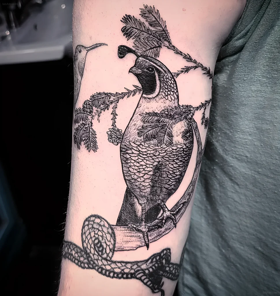 тату-перепел-пример-рисунка-тату-для-tatufoto-com-33
