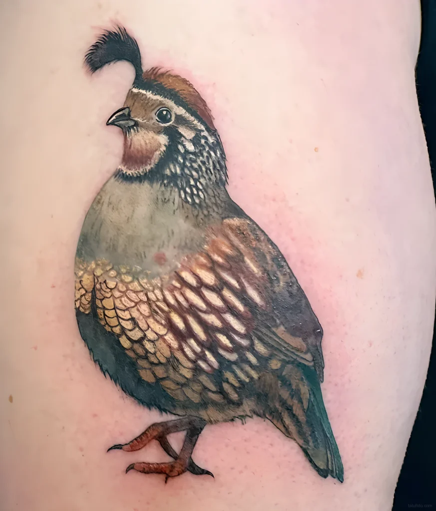 тату-перепел-пример-рисунка-тату-для-tatufoto-com-7