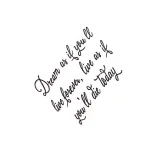 Черно-белая татуировка надписью 'Dream as if you'll live forever, live as if you'll die today' на боковой части грудной клетки, выполненная изящным каллиграфическим шрифтом.