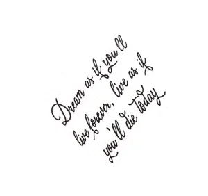 Черно-белая татуировка надписью 'Dream as if you'll live forever, live as if you'll die today' на боковой части грудной клетки, выполненная изящным каллиграфическим шрифтом.