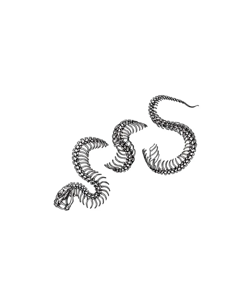 Black and white sketch of a snake skeleton tattoo, curved along the collarbone, with an emphasis on detailed vertebrae.