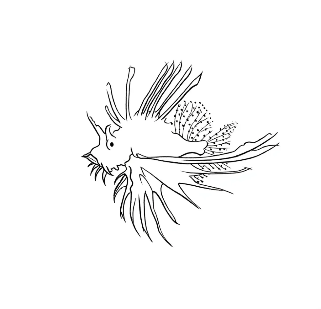 Black and white sketch of a minimalist stingray tattoo for the shoulder blade.