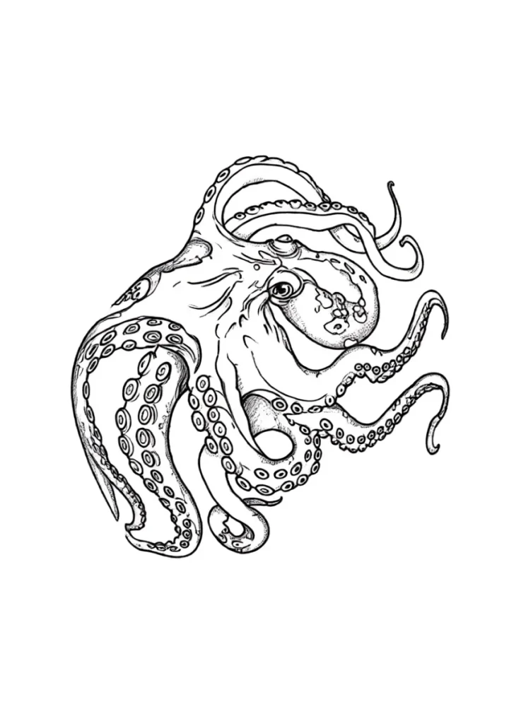Black and white sketch of an octopus tattoo, done in a graphic style, for placement on the shoulder blade.