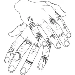 Черно-белый эскиз татуировки на руке, с изображением тонких веточек, листьев и небольших цветов, обвивающих пальцы.