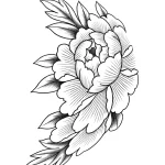Черно-белый эскиз татуировки пиона для нанесения на ягодицу, выполненный в графичном стиле с акцентом на детализацию лепестков.
