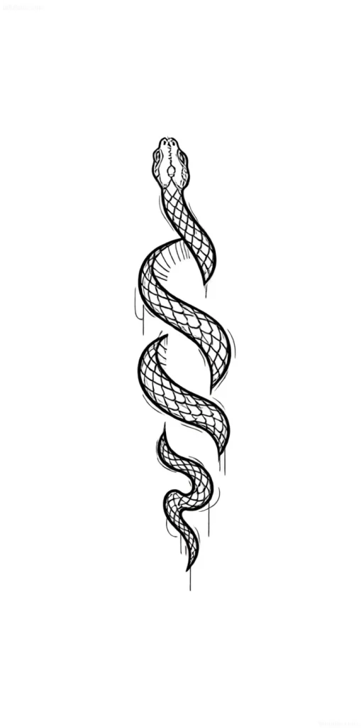 Black and white tattoo sketch along the spine of a two-headed snake, coiling along the spine, with detailed scales and expressive heads.