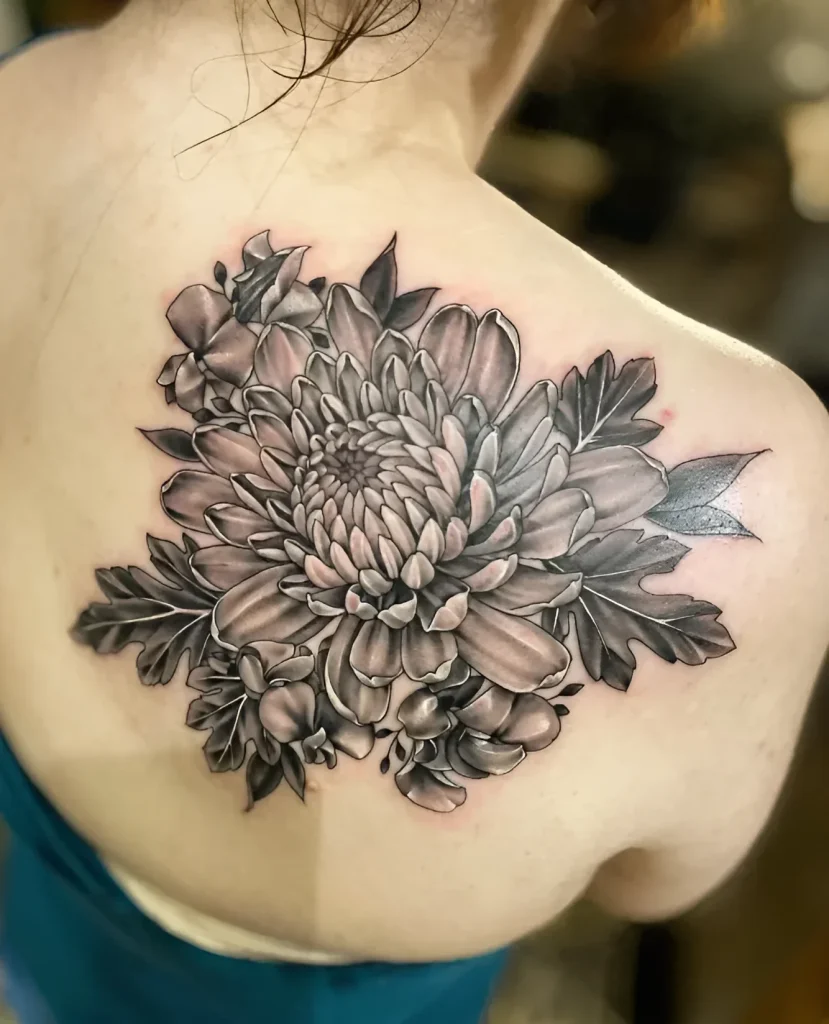 Black and grey realistic tattoo on the shoulder blade: a chrysanthemum done in a realistic style with detailed petals and leaves.