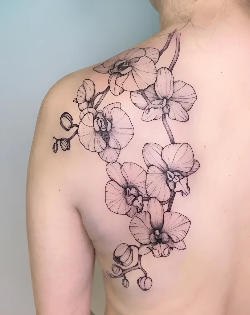 Black and white tattoo of an orchid branch, done in linework technique on a girl's shoulder blade.
