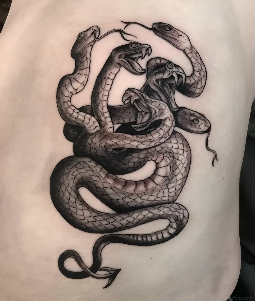 Monochrome tattoo of the Lernean Hydra with multiple snake heads on the side