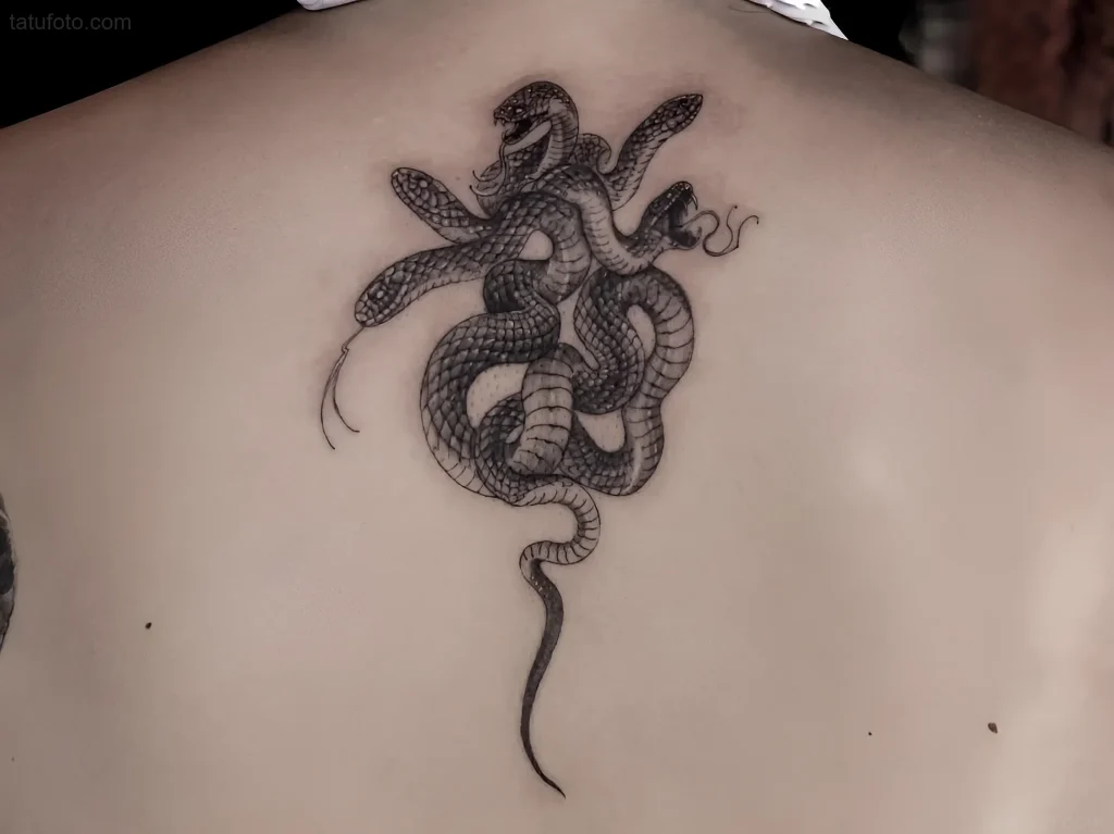 Monochrome tattoo of a snake with multiple heads intertwined in the center of the back, showing detailed shading
