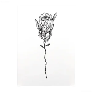 Черно-белый эскиз татуировки с изображением цветка протея, выполненный в графической технике.