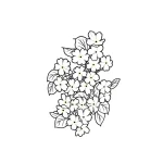 Эскиз татуировки в стиле лайнворк с изображением пышной ветви незабудок с мелкими белыми цветами и зелеными листьями.