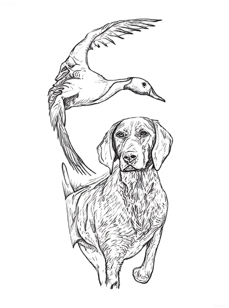 Outline tattoo design: a Weimaraner dog in a point and a flying duck above it.