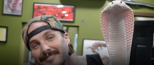 Тайлер Нолан, бывший участник шоу 'Ink Master', и белая кобра