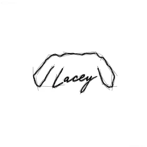 Эскиз татуировки мопса в минималистичном стиле с надписью 'Lacey'