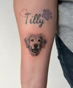 Татуировка портрета золотистого ретривера с именем "Tilly" и отпечатком лапы