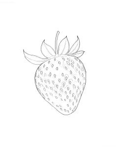 Чертеж эскиза татуировки клубники с листьями и семенами на белом фоне