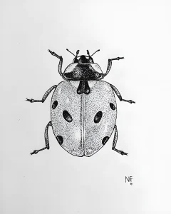 Детальный набросок божьей коровки, выполненный точечной техникой (stippling), с подписью художника NE