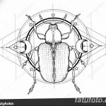 Black and white beetle over sacred geometry, isolated vector ill