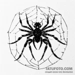 Spider — эскиз тату (№1749596798_0, 10.06.2025 23:06) — Tatufoto.com