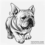 Bulldog — эскиз тату (№1749682693_0, 11.06.2025 22:58) — Tatufoto.com