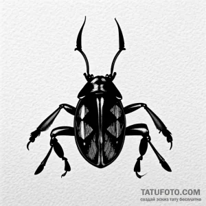 Beetle - эскиз тату (№1749699731_0, 12.06.2025 03:42) — Tatufoto.com