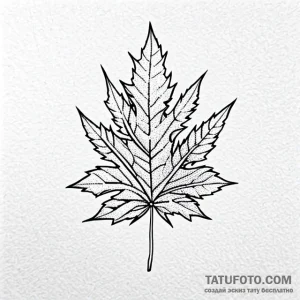 Maple - эскиз тату (№1749715755_0, 12.06.2025 08:09) — Tatufoto.com