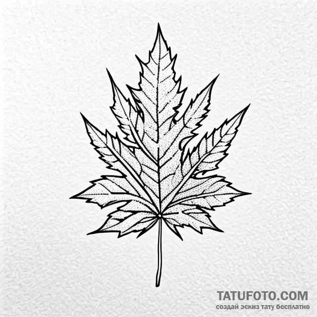 Maple — эскиз тату (№1749715755_0, 12.06.2025 08:09) — Tatufoto.com