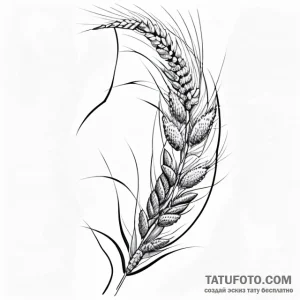 Ear of wheat - эскиз тату (№1749728873_0, 12.06.2025 11:47) — Tatufoto.com