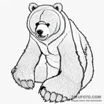 Bear’s paw — эскиз тату (№1749739815_0, 12.06.2025 14:50) — Tatufoto.com