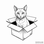 Schrodinger’s cat in a box – эскиз тату (№1749788852_0, 13.06.2025 04:27) — Tatufoto.com