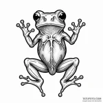 A glass frog with visible organs — эскиз тату (№1749798241_0, 13.06.2025 07:04) — Tatufoto.com