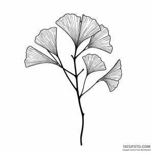 Ginkgo leaves - эскиз тату (№1749799031_0, 13.06.2025 07:17) — Tatufoto.com